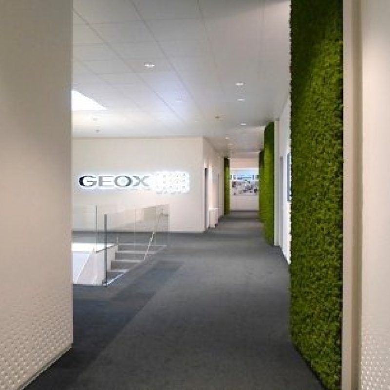 moss_wall_headquarters_interior